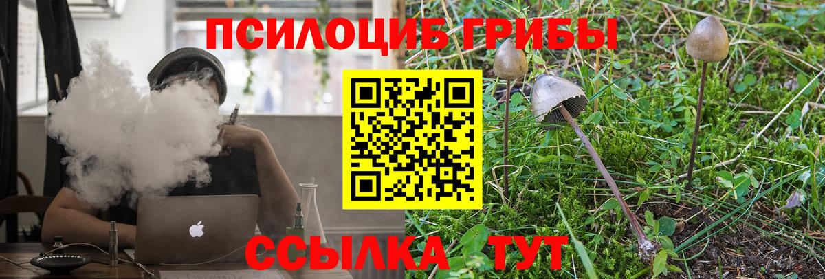 Чапаевск  Псилоцибиновые грибы MAGIC MUSHROOMS  Вход с VPN 