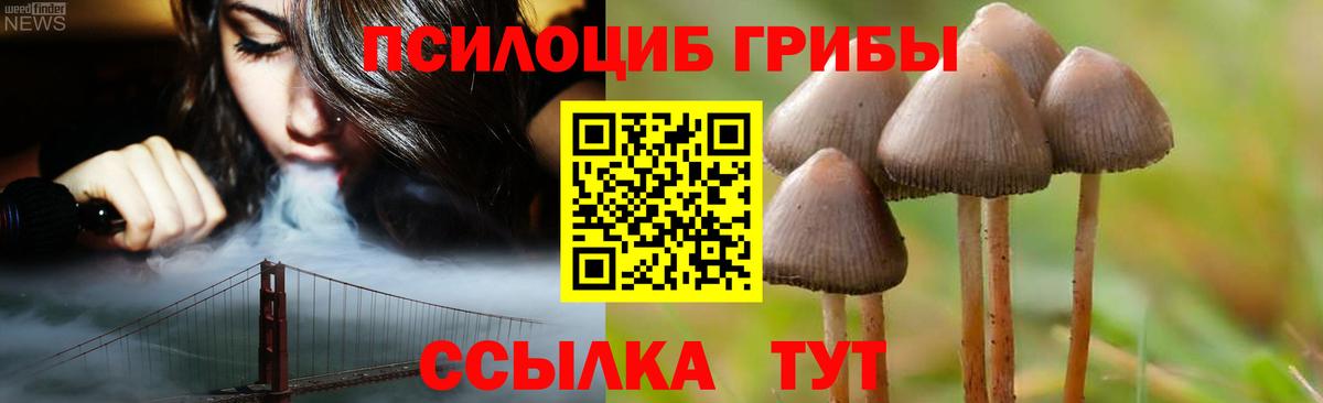 Псилоцибиновые грибы мицелий Чапаевск